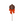 Fall Lolly