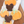 Pumpkin Cookie