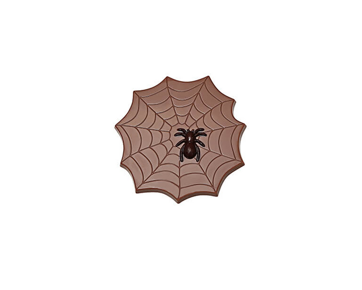 Spider Web
