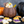 Trick or Treat Pumpkin