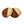 Shortbread Dipped in Milk Chocolate