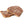 Milk Chocolate Toffee Biscuit with Almonds
