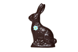 Dark Chocolate Hollow Bunny with Flower