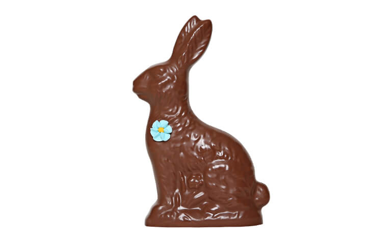 Milk Chocolate Hollow Bunny with Flower